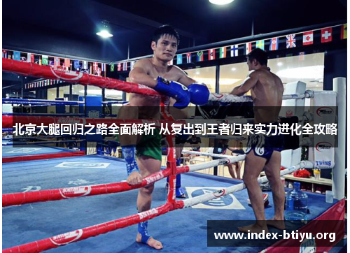 北京大腿回归之路全面解析 从复出到王者归来实力进化全攻略