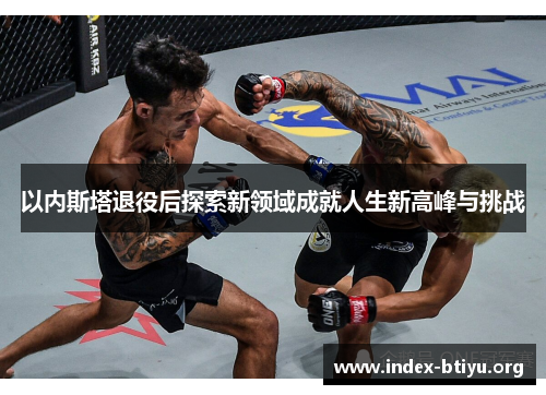 以内斯塔退役后探索新领域成就人生新高峰与挑战