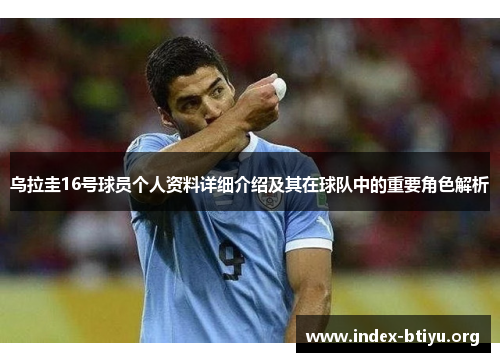 乌拉圭16号球员个人资料详细介绍及其在球队中的重要角色解析