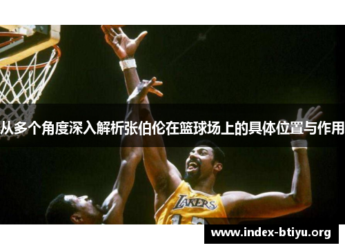 从多个角度深入解析张伯伦在篮球场上的具体位置与作用