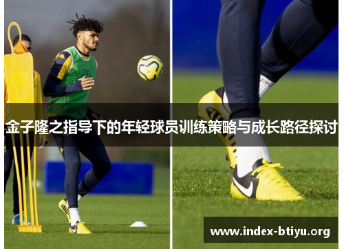 金子隆之指导下的年轻球员训练策略与成长路径探讨
